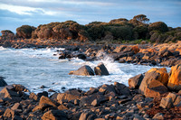 Larooma Park, Tasmania, Australia, (Hawley Beach, nr. Hawley House)