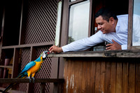 Stephanie, the blue and yellow macaw at Arenal Lodge near Arenal Volcano, Costa Rica