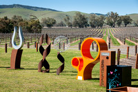 Barossa Valley and Hahndorf