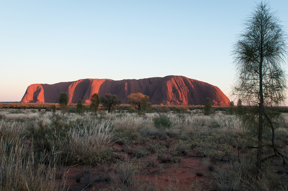 Uluru at Sunset, Australia